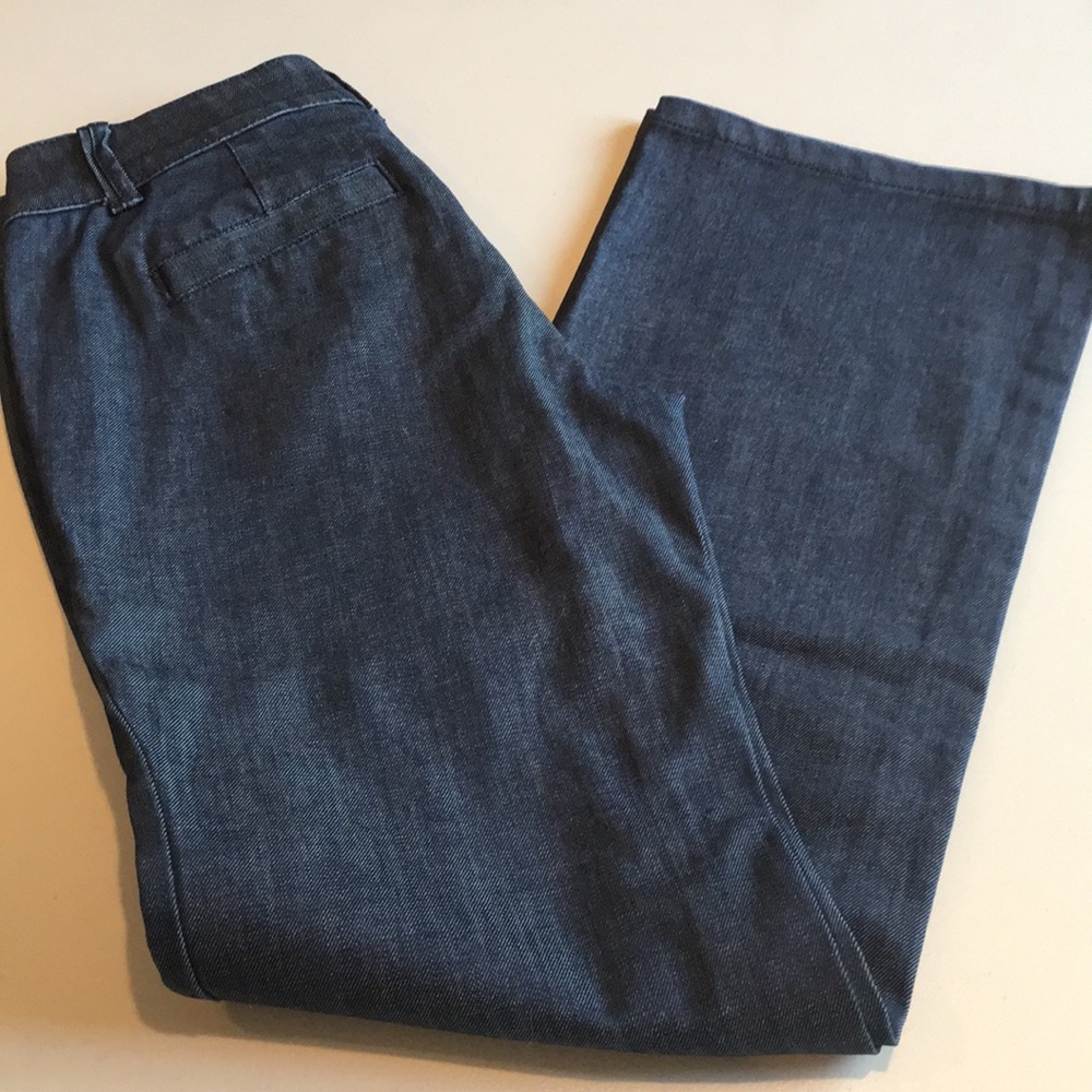 Ann Taylor dressy jeans flare cut inseam 29